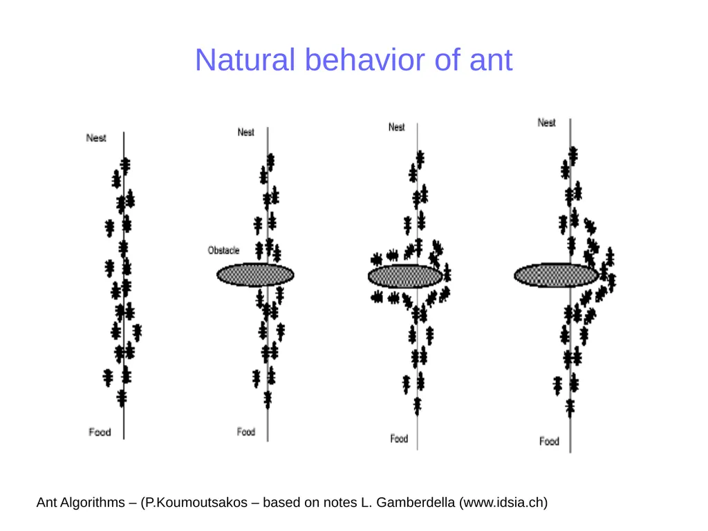 Ant Colony Optimization Prepared by: Ahmad - slide 9 of 50