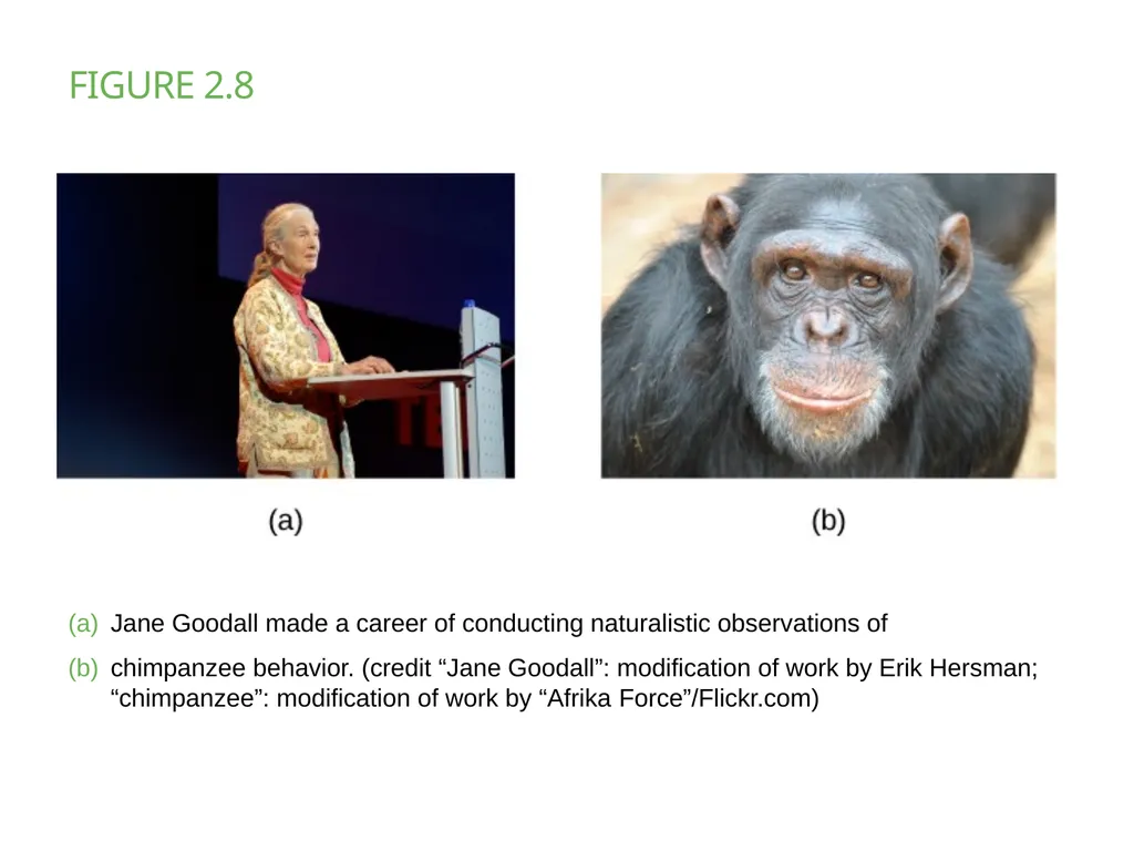 Chapter 2 PSYCHOLOGICAL RESEARCH PowerPoint Image - slide 11 of 34