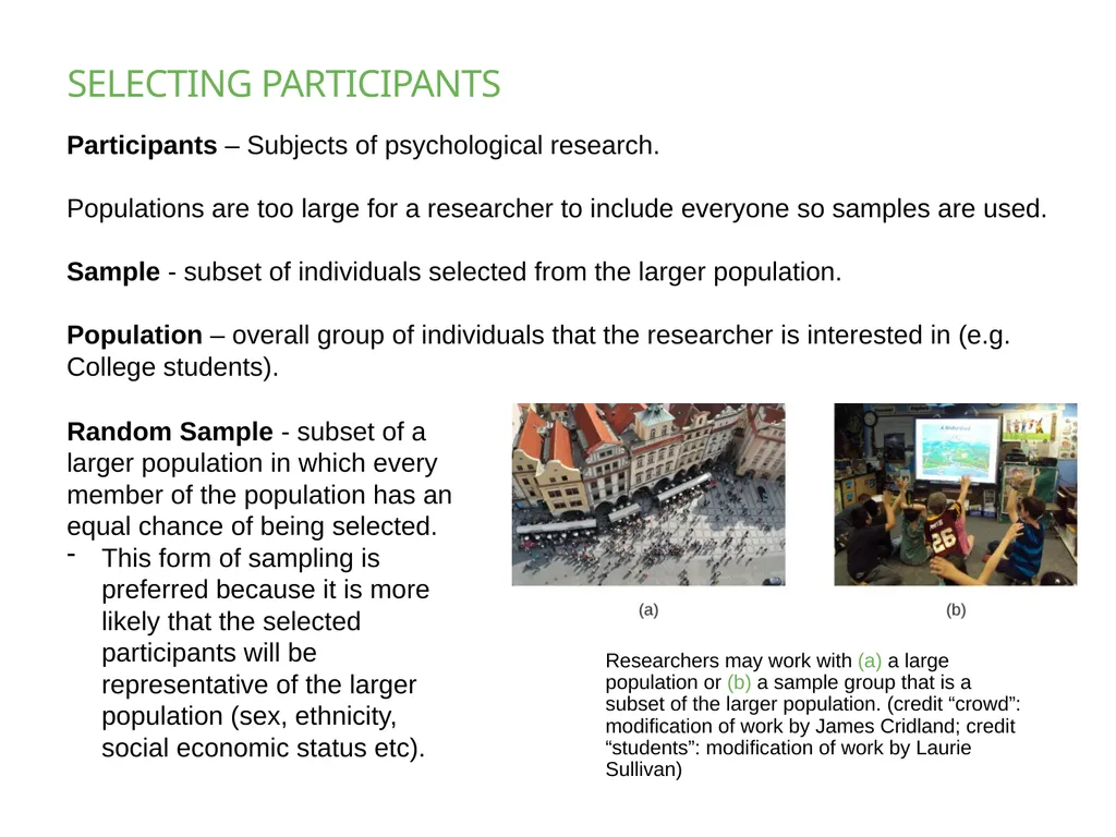 Chapter 2 PSYCHOLOGICAL RESEARCH PowerPoint Image - slide 24 of 34
