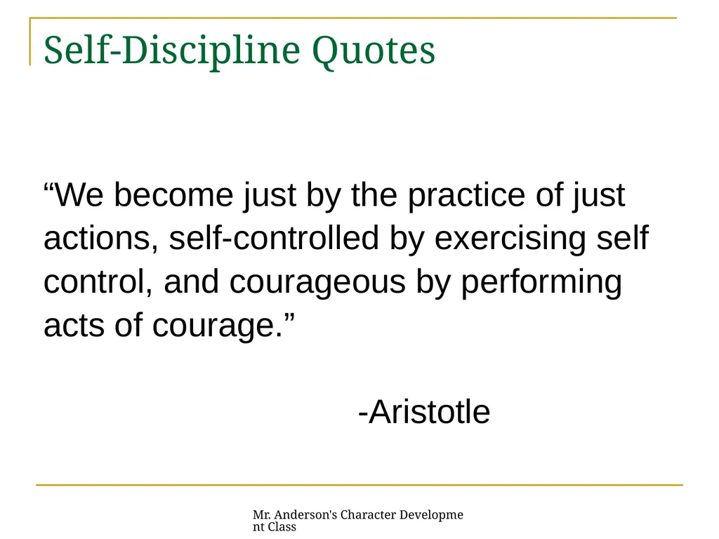Mr. Anderson's Character Development Class - slide 14 of 31