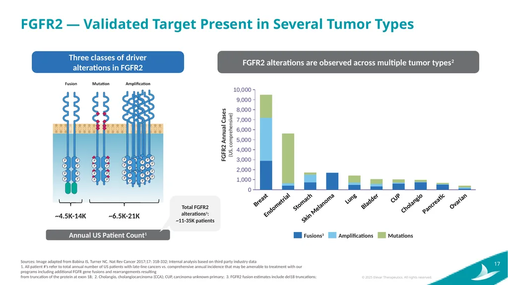Elevar Therapeutics Elevating Treatment Outcomes - slide 17 of 25
