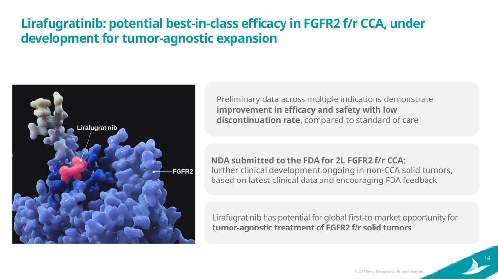 Elevar Therapeutics Elevating Treatment Outcomes - slide 16 of 25