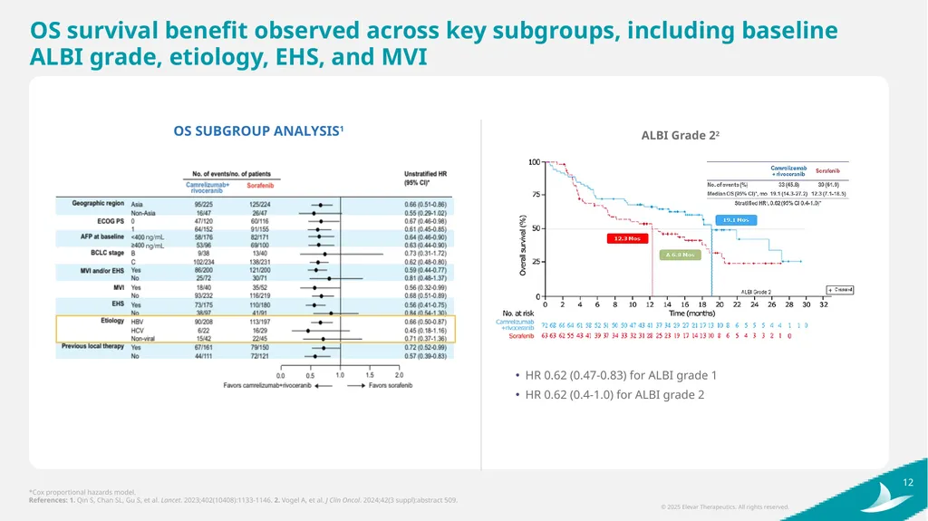 Elevar Therapeutics Elevating Treatment Outcomes - slide 12 of 25