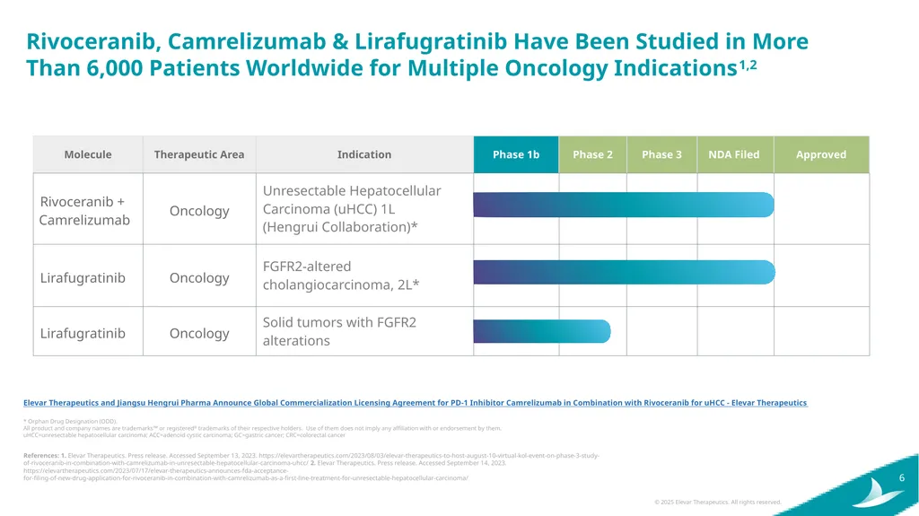 Elevar Therapeutics Elevating Treatment Outcomes - slide 6 of 25