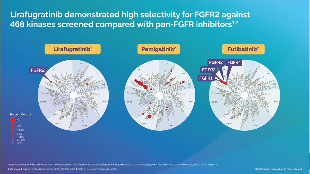 Elevar Therapeutics Elevating Treatment Outcomes - slide 19 of 25