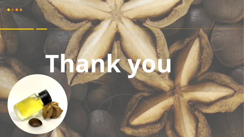 Scientific Papers Review Sacha Inchi Seed Oil - slide 12 of 12