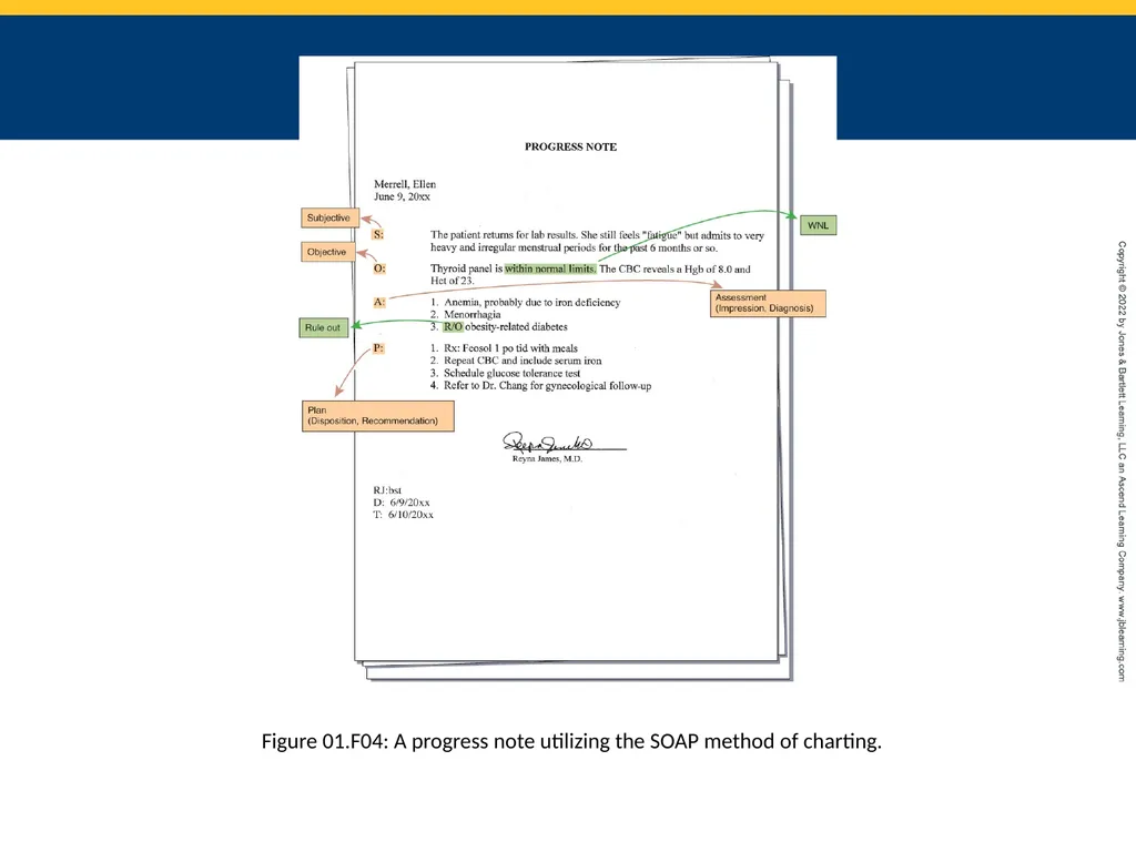 Chapter 1 Basic Term Parts and Medical Records - slide 6 of 6