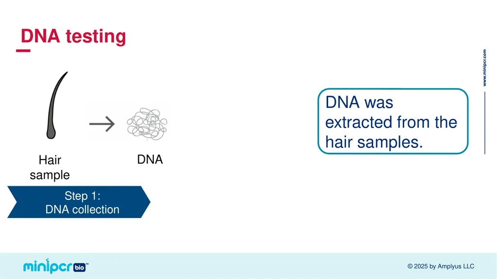 Cystic Fibrosis Lab Missy Baker Missing!™ Two - slide 7 of 38