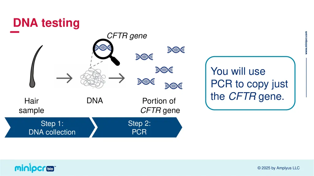 Cystic Fibrosis Lab Missy Baker Missing!™ Two - slide 8 of 38