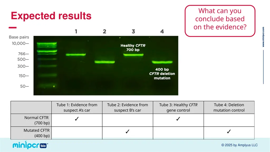 Cystic Fibrosis Lab Missy Baker Missing!™ Two - slide 30 of 38