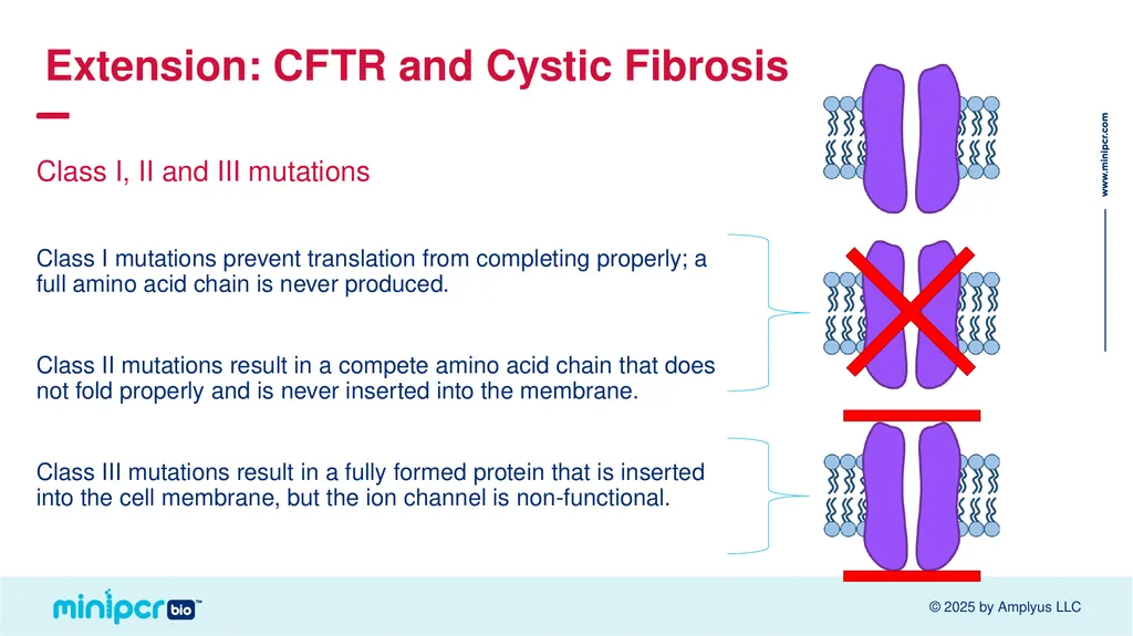 Cystic Fibrosis Lab Missy Baker Missing!™ Two - slide 36 of 38