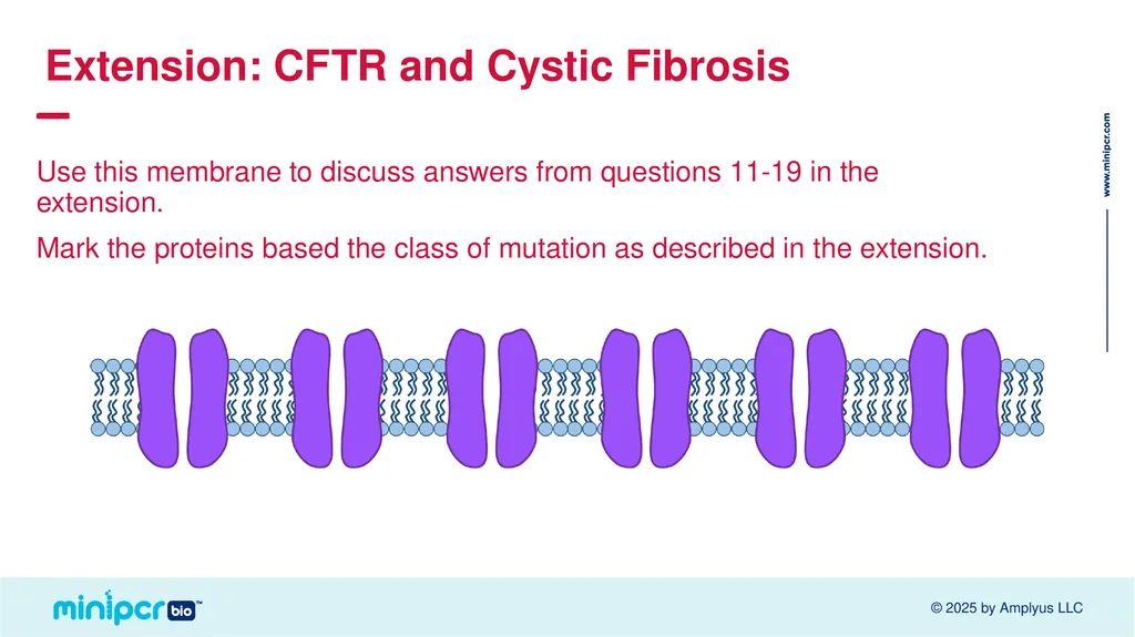 Cystic Fibrosis Lab Missy Baker Missing!™ Two - slide 37 of 38