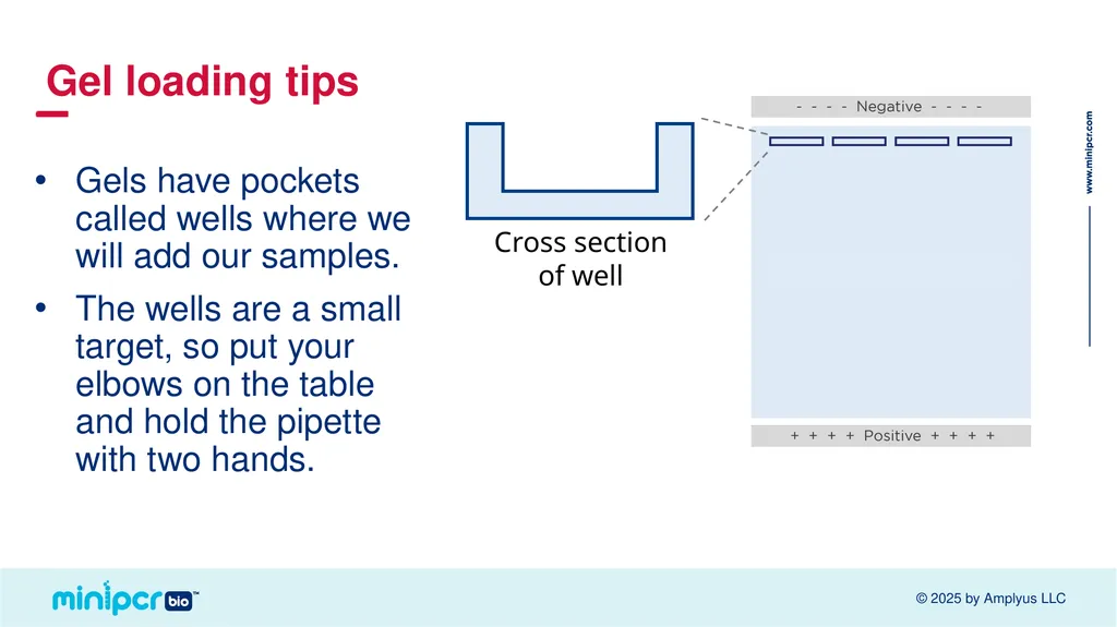 Cystic Fibrosis Lab Missy Baker Missing!™ Two - slide 20 of 38