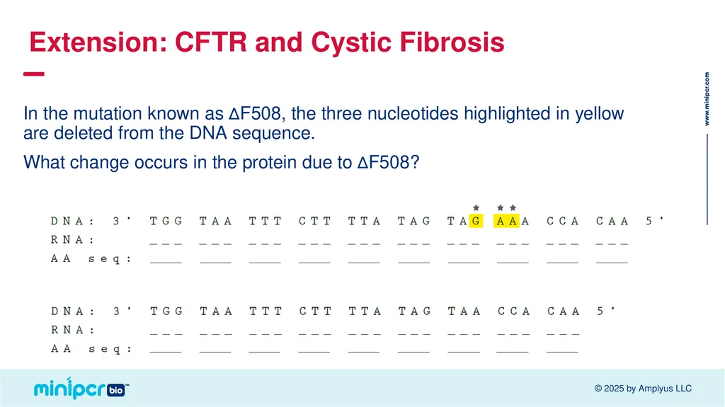 Cystic Fibrosis Lab Missy Baker Missing!™ Two - slide 33 of 38