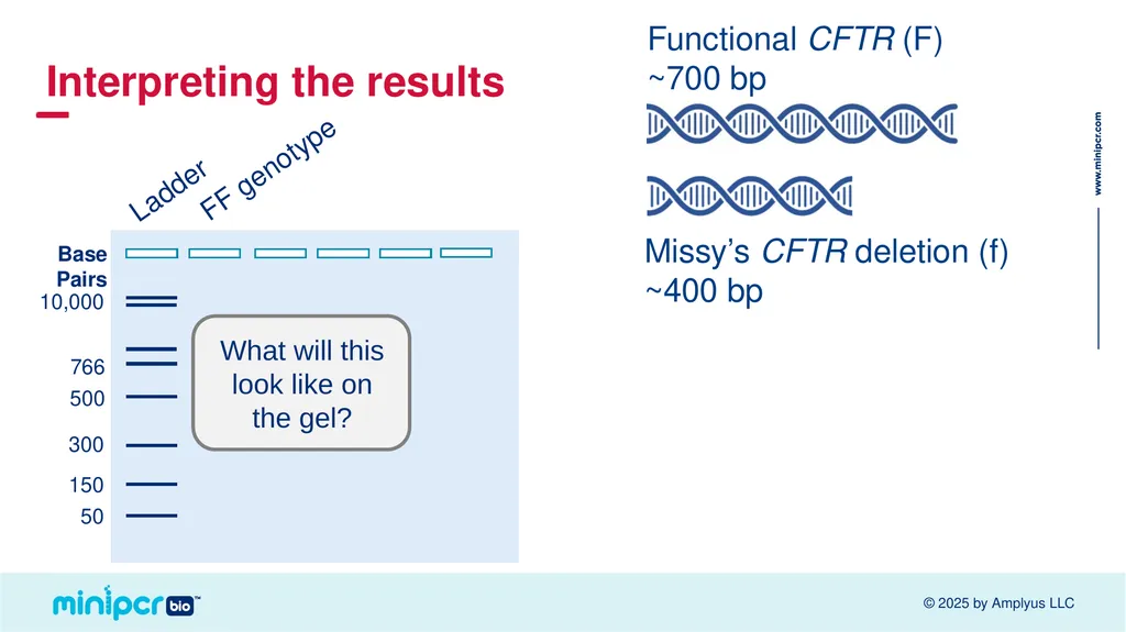 Cystic Fibrosis Lab Missy Baker Missing!™ Two - slide 24 of 38