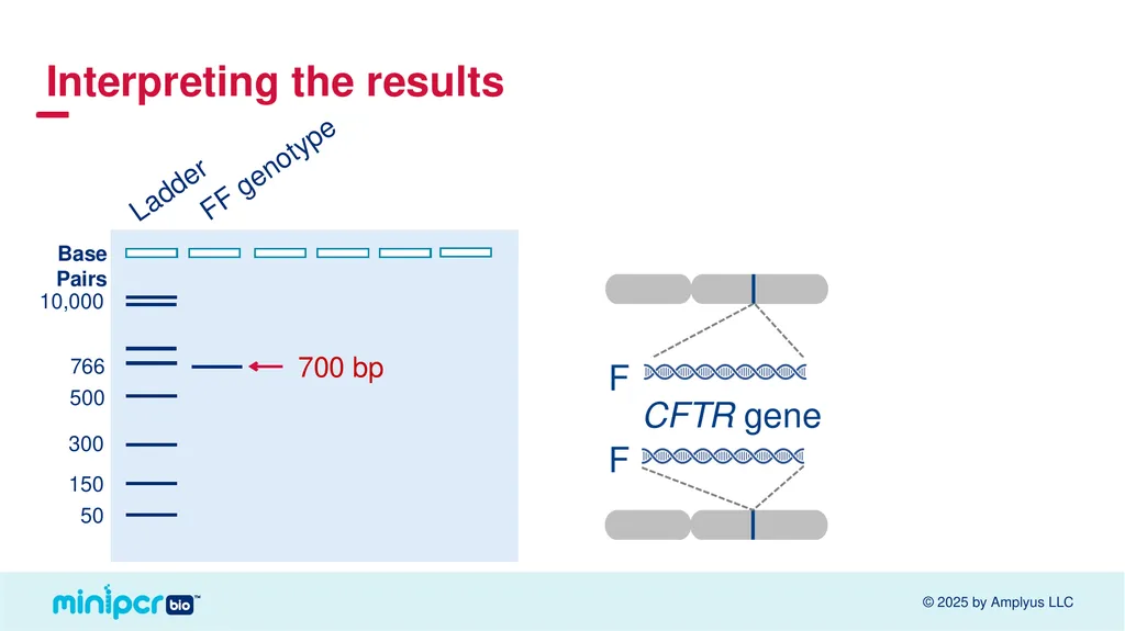 Cystic Fibrosis Lab Missy Baker Missing!™ Two - slide 25 of 38
