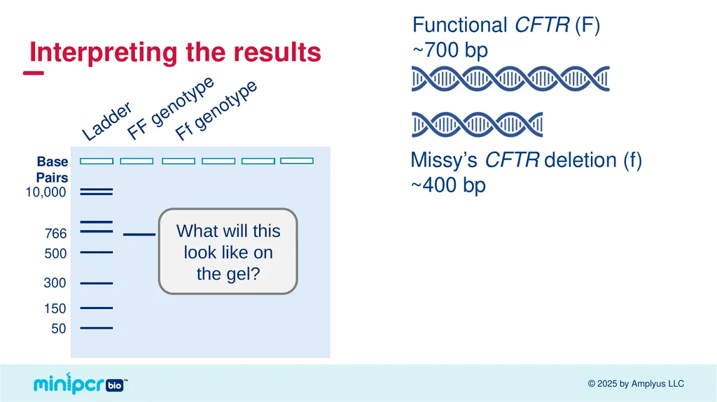 Cystic Fibrosis Lab Missy Baker Missing!™ Two - slide 26 of 38