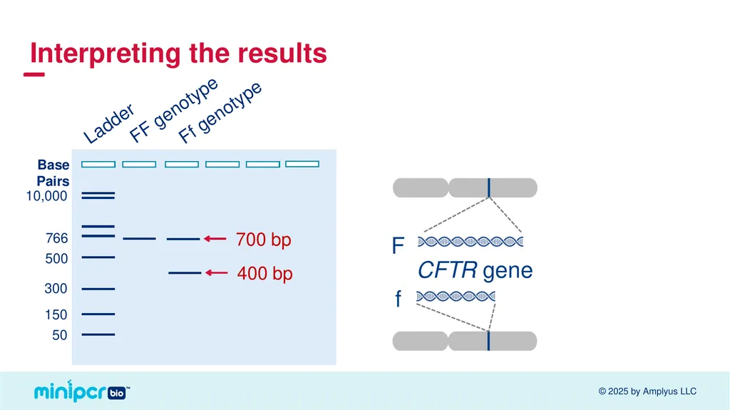 Cystic Fibrosis Lab Missy Baker Missing!™ Two - slide 27 of 38