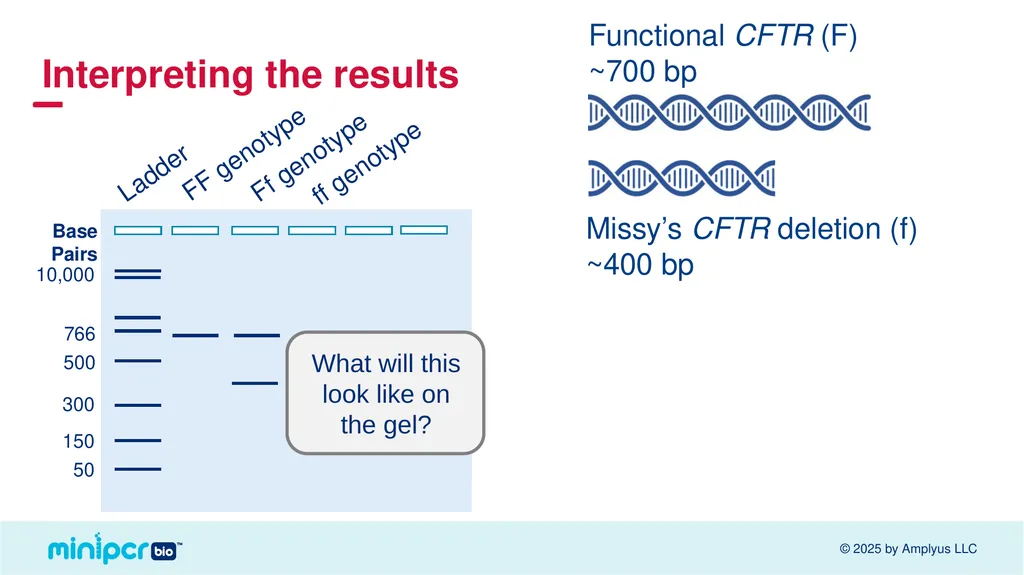 Cystic Fibrosis Lab Missy Baker Missing!™ Two - slide 28 of 38