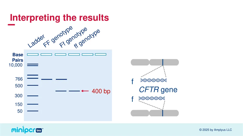 Cystic Fibrosis Lab Missy Baker Missing!™ Two - slide 29 of 38