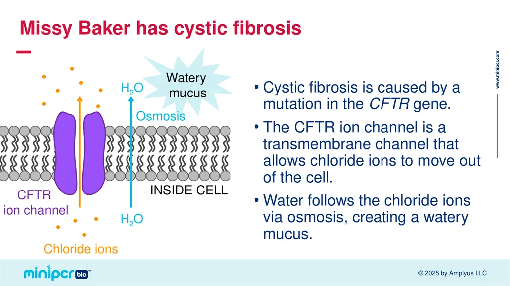 Cystic Fibrosis Lab Missy Baker Missing!™ Two - slide 3 of 38