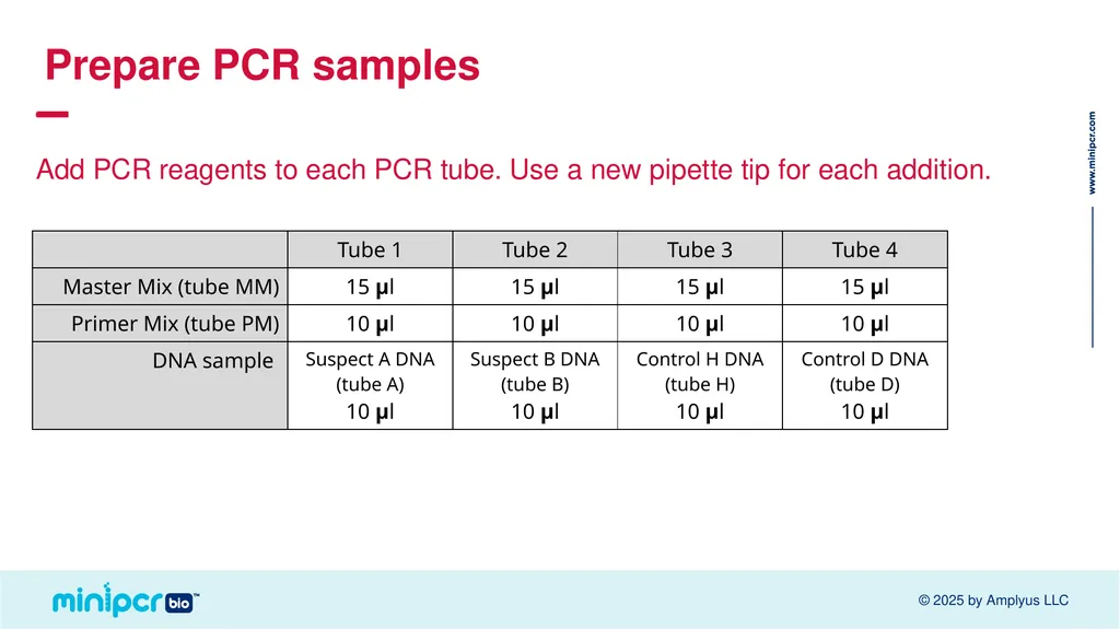 Cystic Fibrosis Lab Missy Baker Missing!™ Two - slide 13 of 38