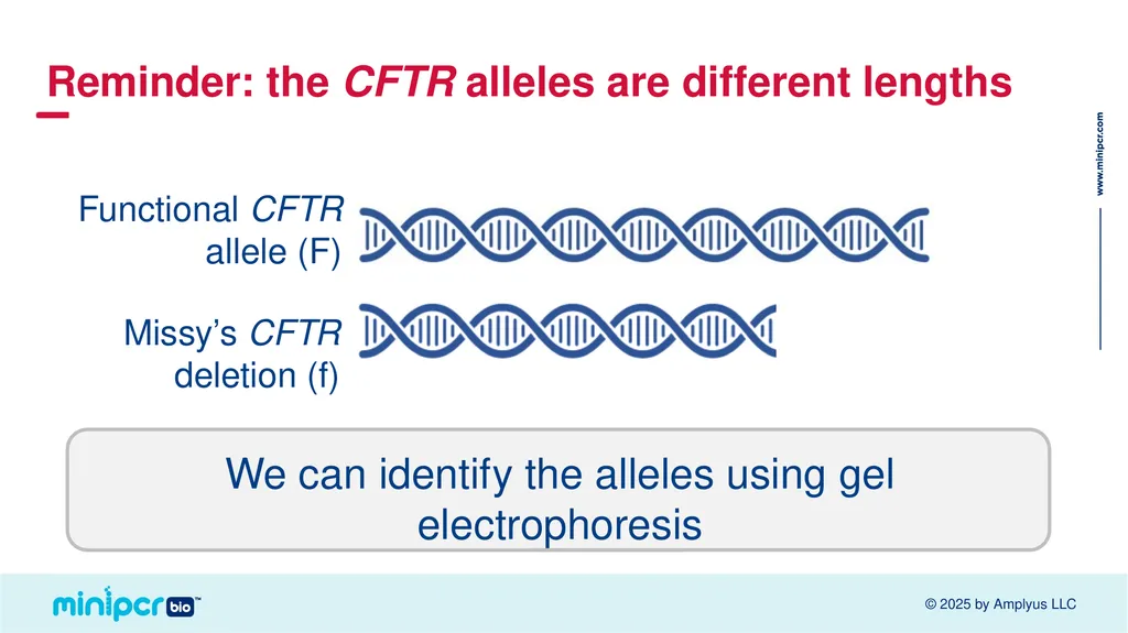 Cystic Fibrosis Lab Missy Baker Missing!™ Two - slide 23 of 38