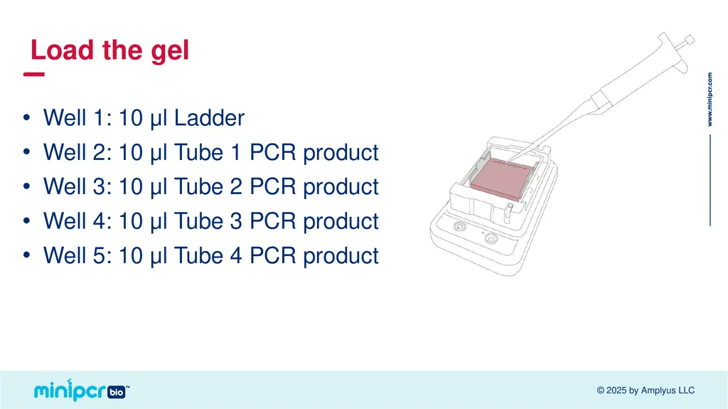 Cystic Fibrosis Lab Missy Baker Missing!™ Two - slide 22 of 38