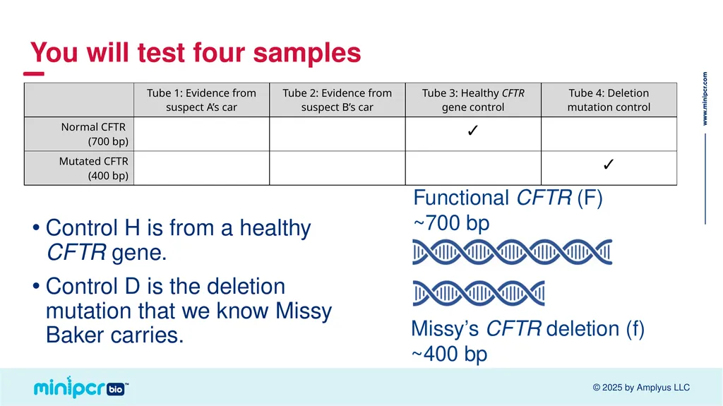Cystic Fibrosis Lab Missy Baker Missing!™ Two - slide 11 of 38
