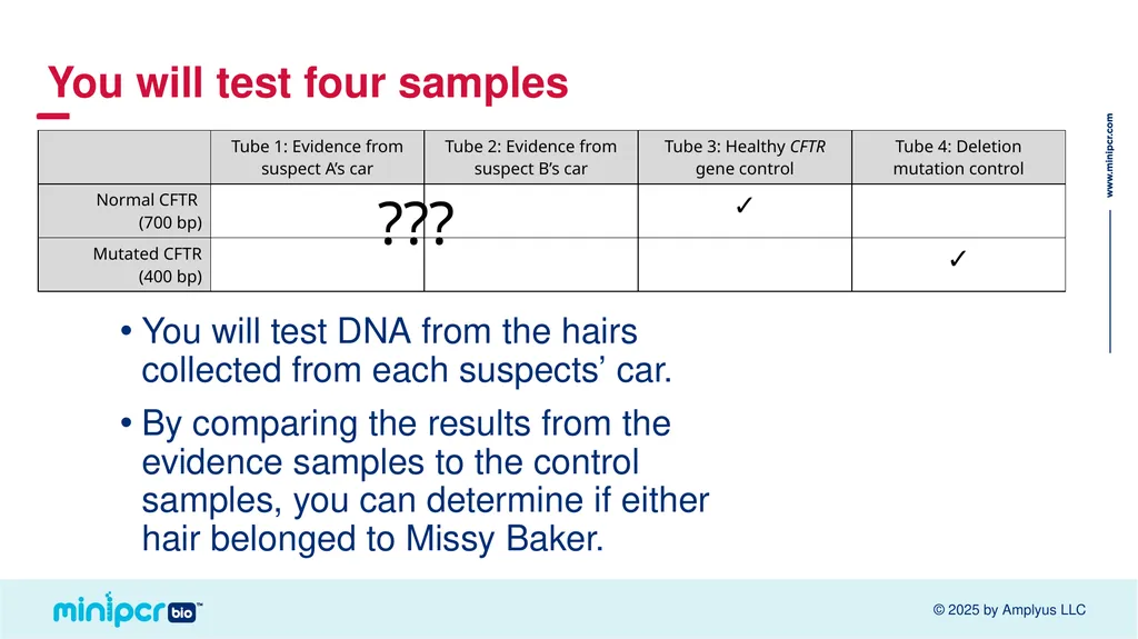 Cystic Fibrosis Lab Missy Baker Missing!™ Two - slide 12 of 38
