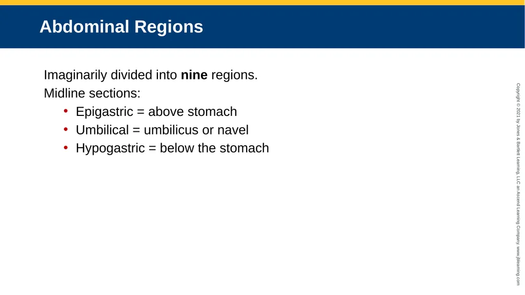 Body Structure CHAPTER 2 Learning Objectives List - slide 49 of 64