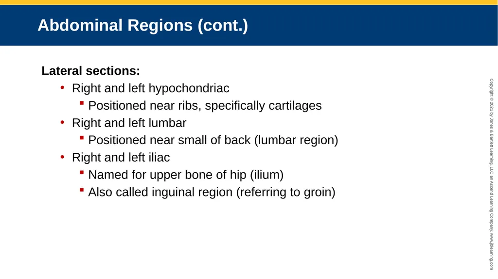 Body Structure CHAPTER 2 Learning Objectives List - slide 50 of 64
