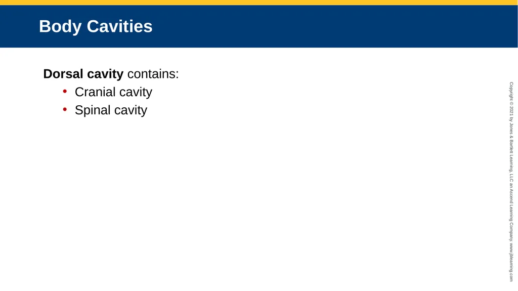Body Structure CHAPTER 2 Learning Objectives List - slide 47 of 64