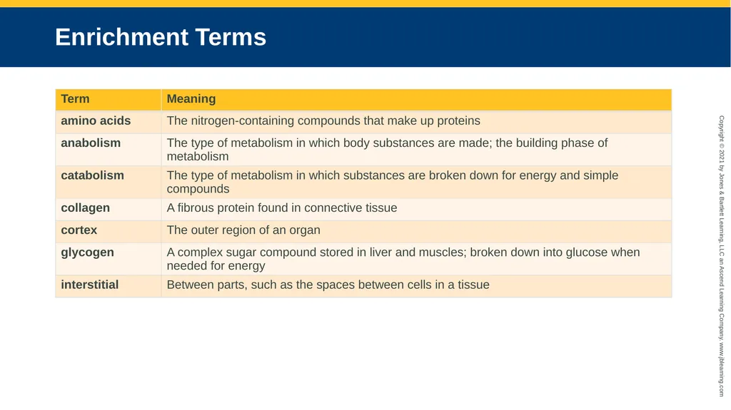 Body Structure CHAPTER 2 Learning Objectives List - slide 37 of 64