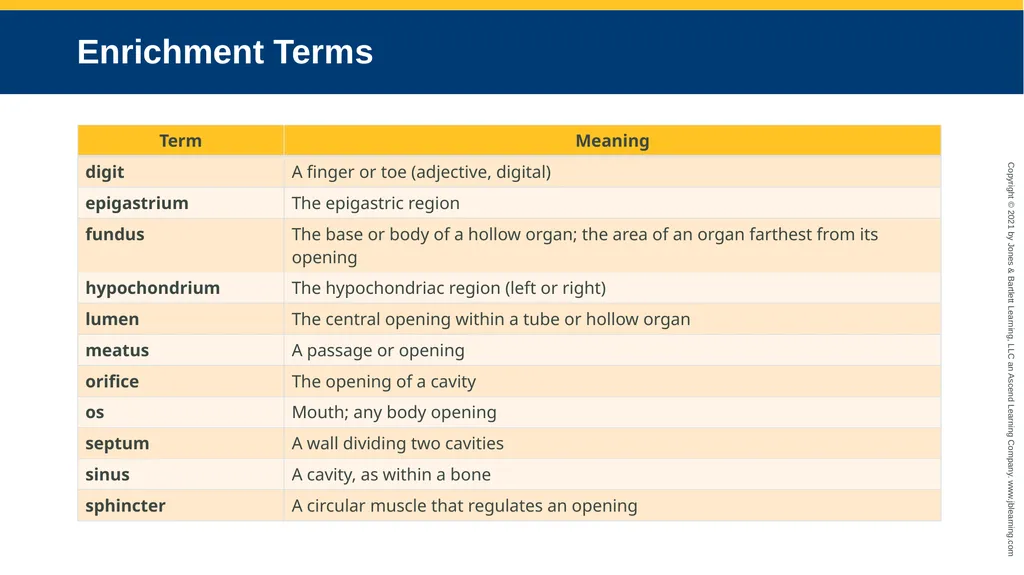 Body Structure CHAPTER 2 Learning Objectives List - slide 57 of 64