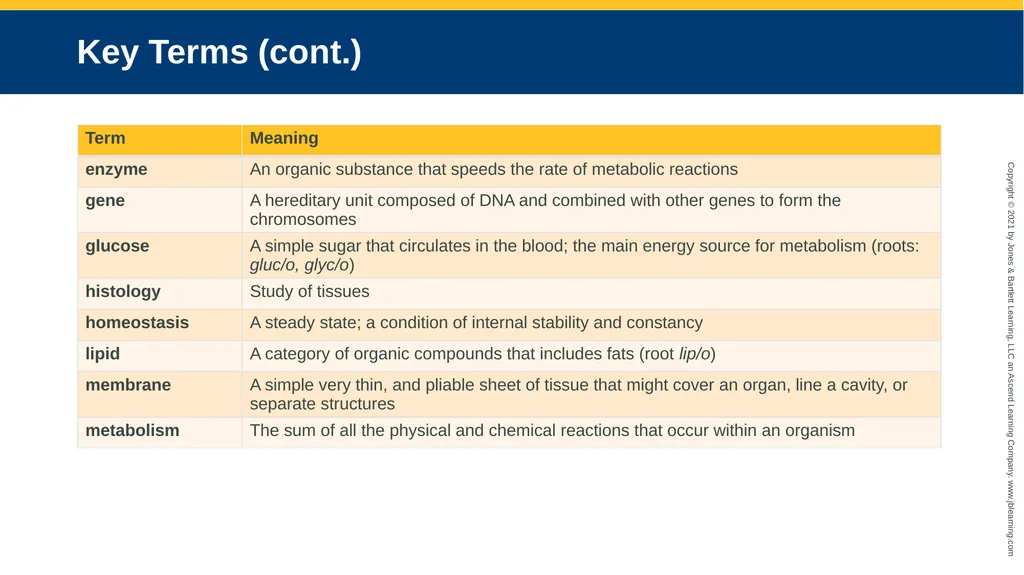 Body Structure CHAPTER 2 Learning Objectives List - slide 33 of 64