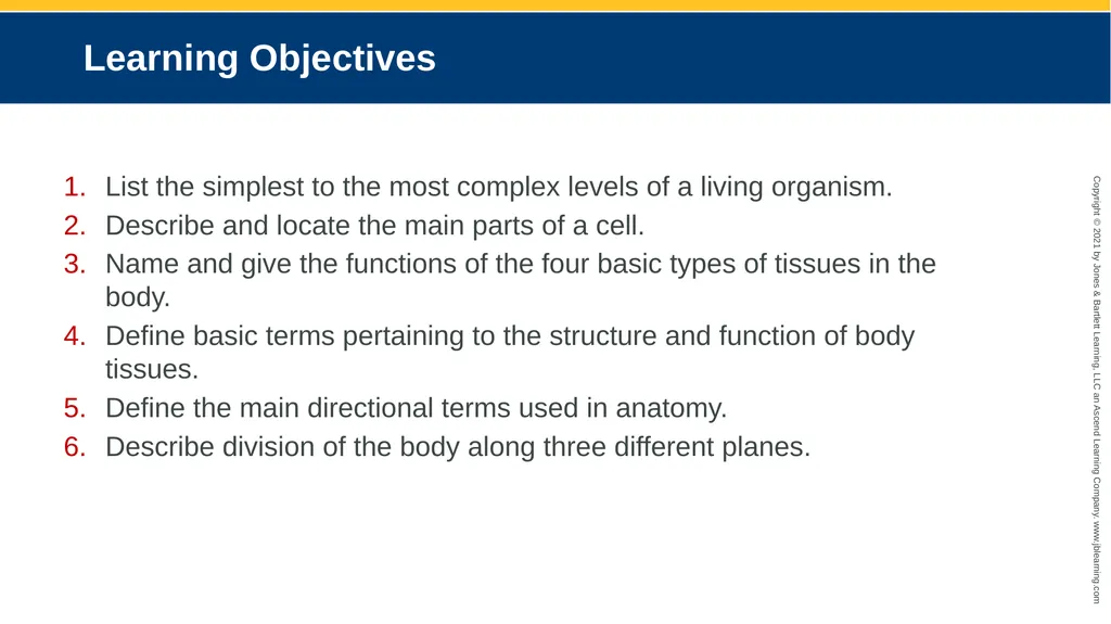 Body Structure CHAPTER 2 Learning Objectives List - slide 2 of 64