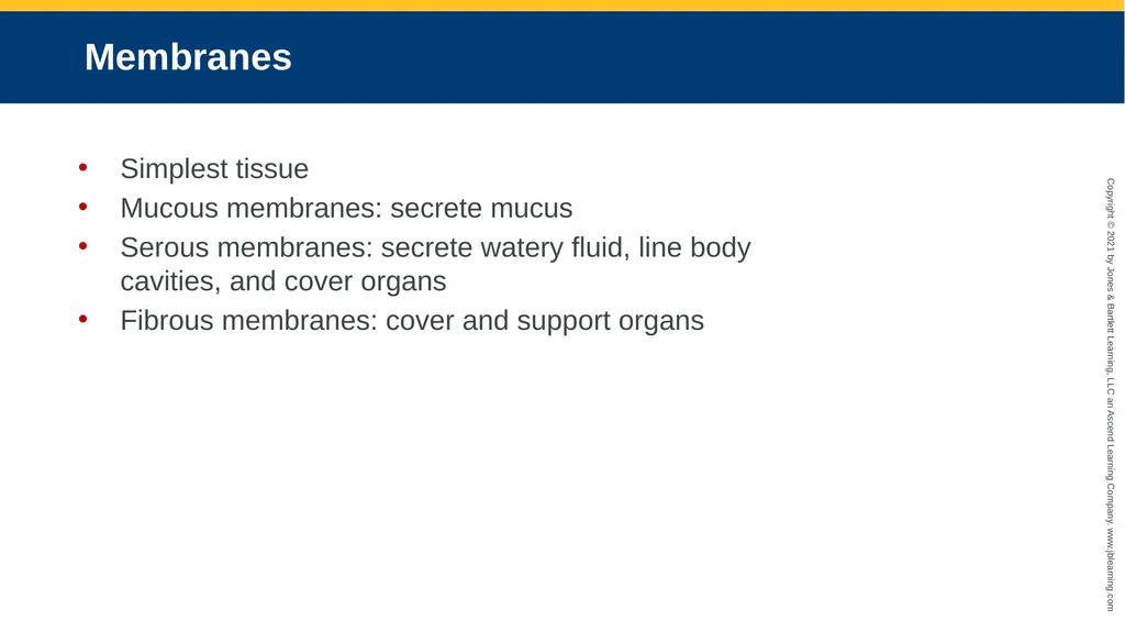 Body Structure CHAPTER 2 Learning Objectives List - slide 27 of 64