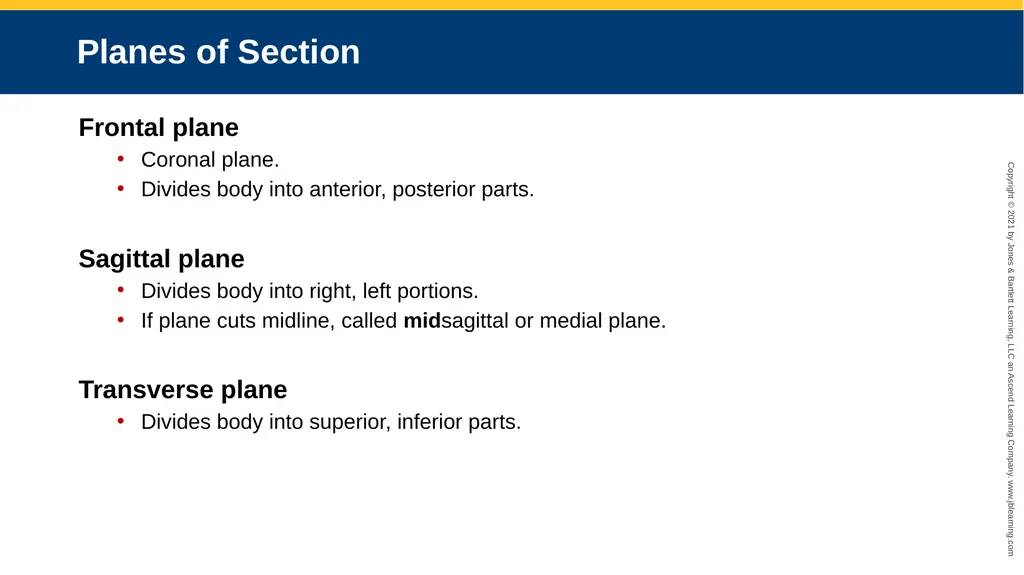 Body Structure CHAPTER 2 Learning Objectives List - slide 43 of 64