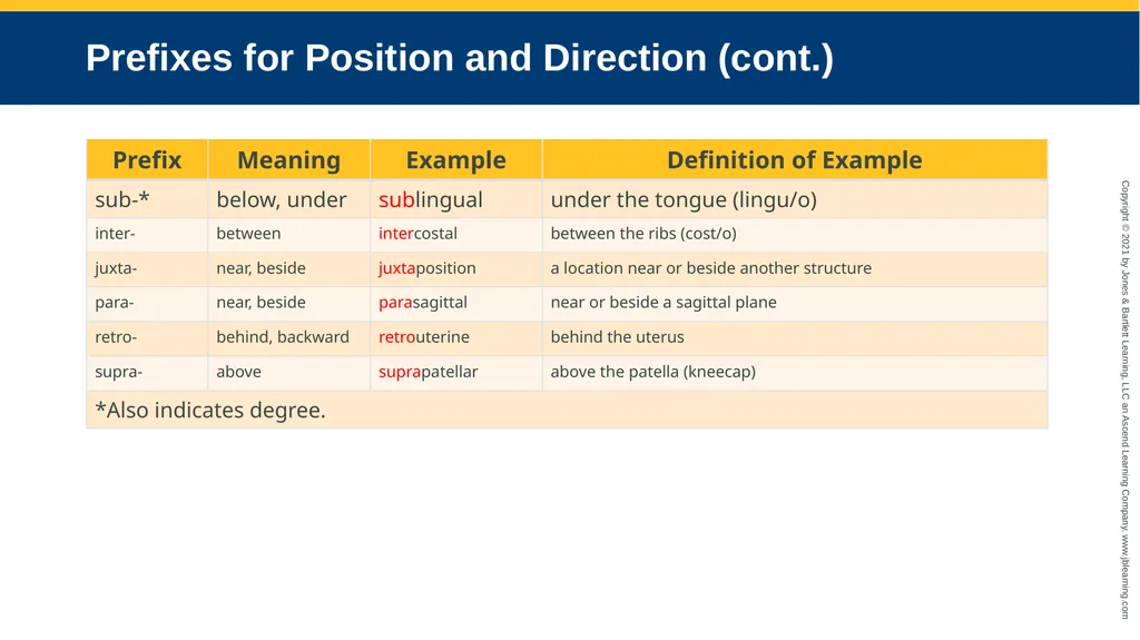 Body Structure CHAPTER 2 Learning Objectives List - slide 54 of 64