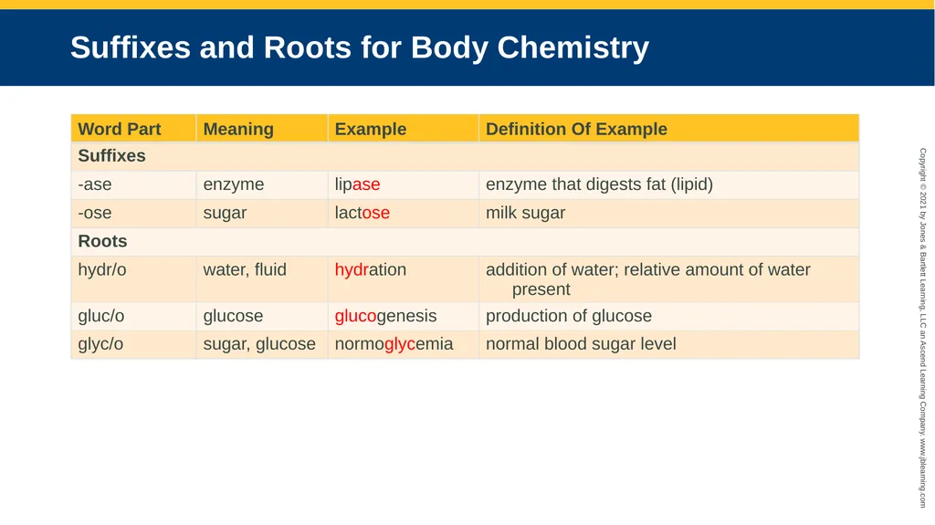 Body Structure CHAPTER 2 Learning Objectives List - slide 30 of 64
