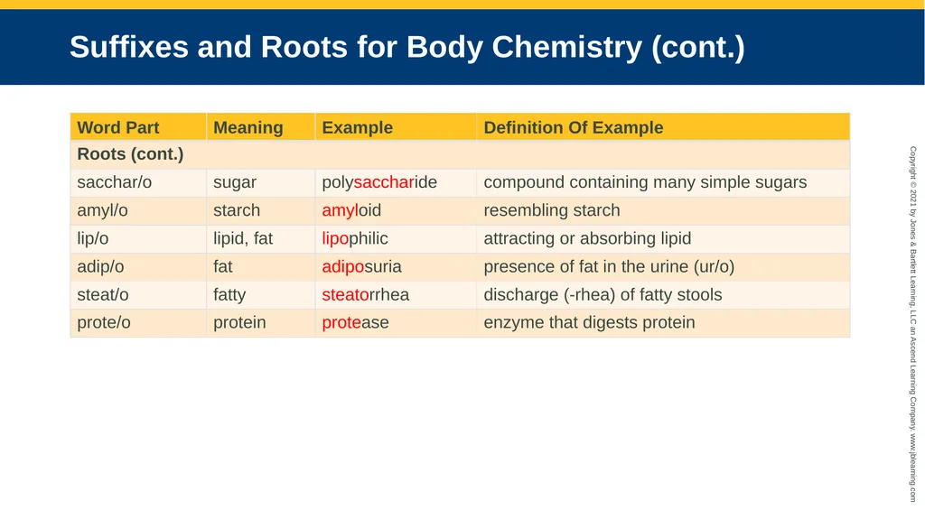 Body Structure CHAPTER 2 Learning Objectives List - slide 31 of 64