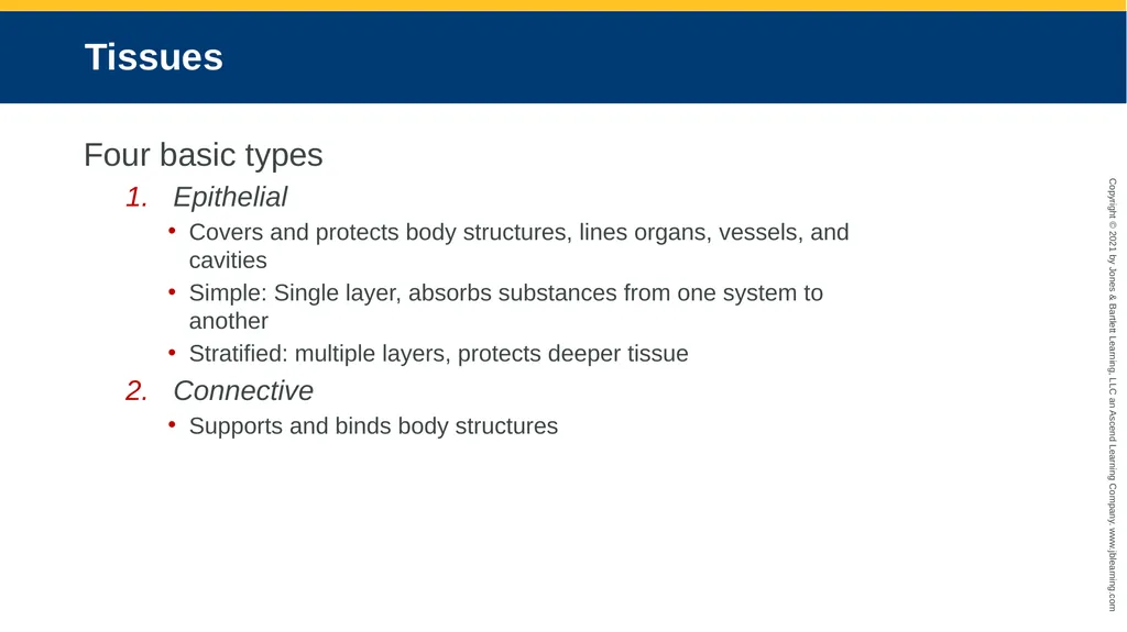 Body Structure CHAPTER 2 Learning Objectives List - slide 25 of 64