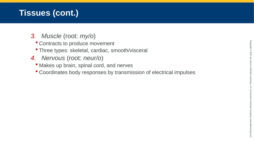 Body Structure CHAPTER 2 Learning Objectives List - slide 26 of 64
