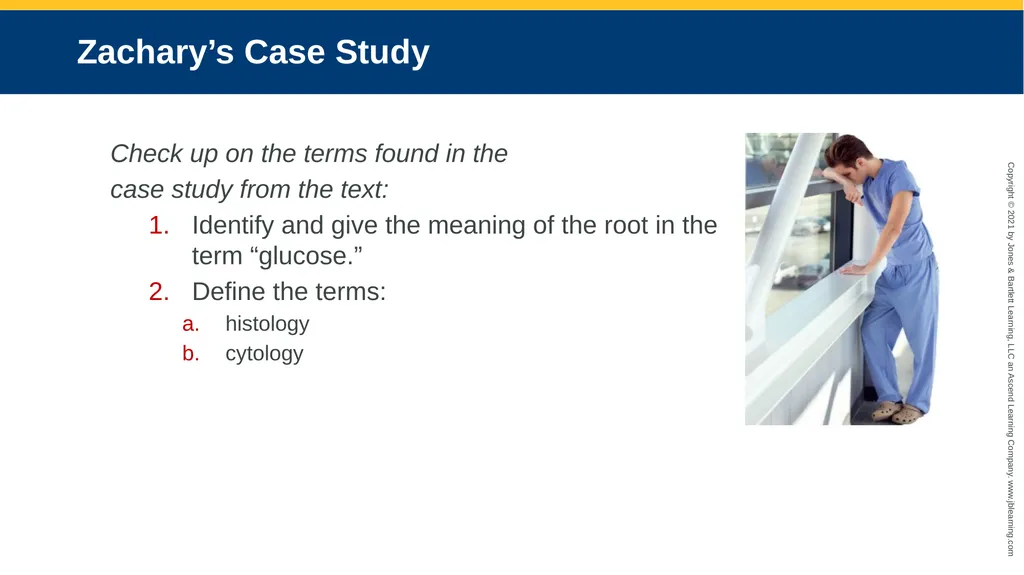 Body Structure CHAPTER 2 Learning Objectives List - slide 34 of 64