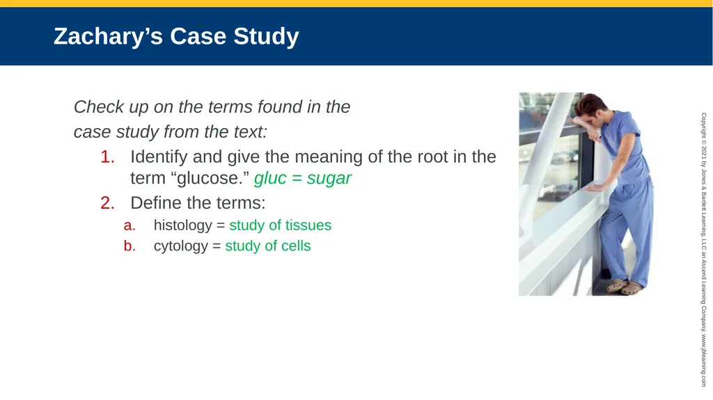 Body Structure CHAPTER 2 Learning Objectives List - slide 35 of 64