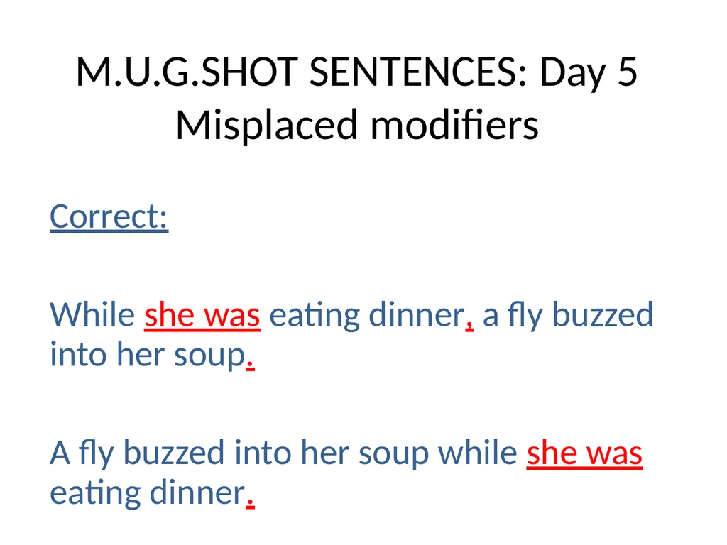 M.U.G.SHOT SENTENCES M= Mechanics U=Usage - slide 19 of 41