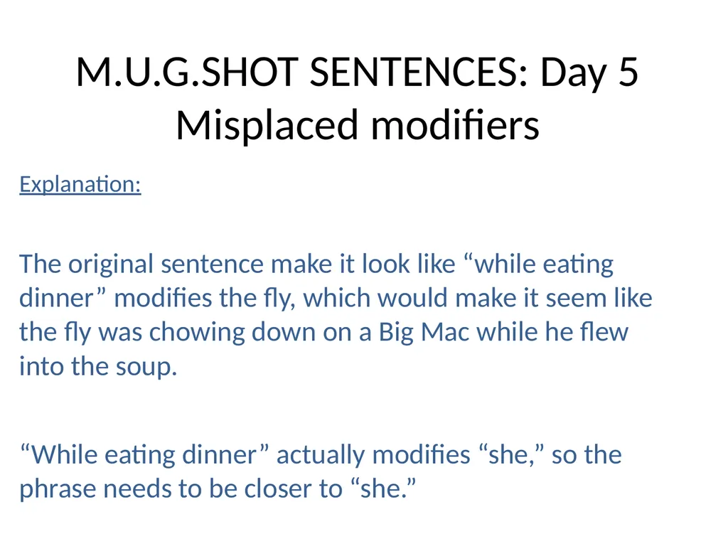 M.U.G.SHOT SENTENCES M= Mechanics U=Usage - slide 20 of 41