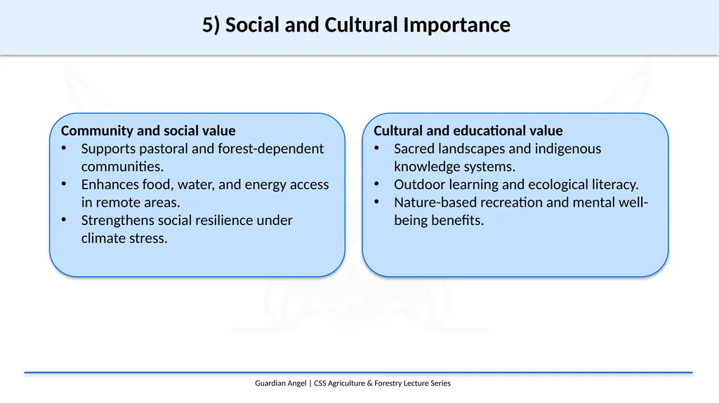 Agriculture & Forestry Part II Section I: Forest, - slide 7 of 12