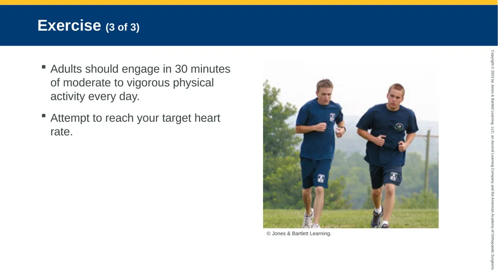 Workforce Safety and Wellness CHAPTER 2 - slide 15 of 62